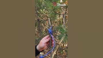 Quick Rabbit Trap!!