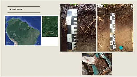 Webinar Humusica 202:  Soil biodiversity + managem...