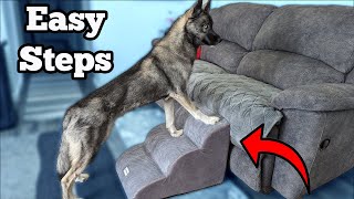 Help Your Dog Up With THESE Foam Dog Stairs