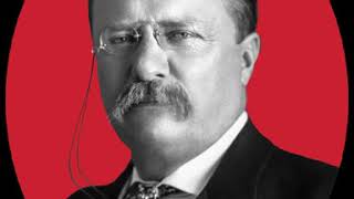 1904 Republican National Convention | Wikipedia audio article
