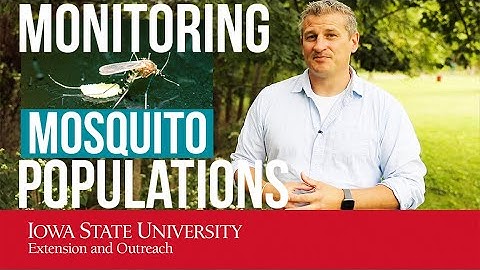 Monitoring Mosquito Populations (A Close-Up Look at 3 Different Mosquito TRAPS!)