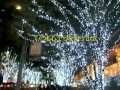 Christmas illumination2009【六本木ヒルズ】丹下桜●private link