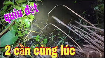 Tới Công Chuyện Luôn Khi Cắm Câu Cá Lóc Mồi Nhái Và Trùng Gặp Phải Cảnh Này # SĂN BẮT ĐỒNG THÁP #