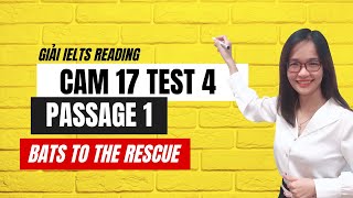 Giải IELTS Reading Cambridge 17 Test 4| Passage 1: Bats to the rescue | IELTS Thanh Loan