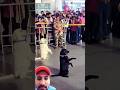 Dog 🐕 Training off Army 💪 Power #army #armylover #viralvideo #viralshort #viralshorts #ytshorts