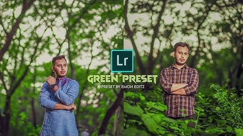 Lightroom green Tone preset Tutorial lightroom Photo editing Tutorial #emoneditz