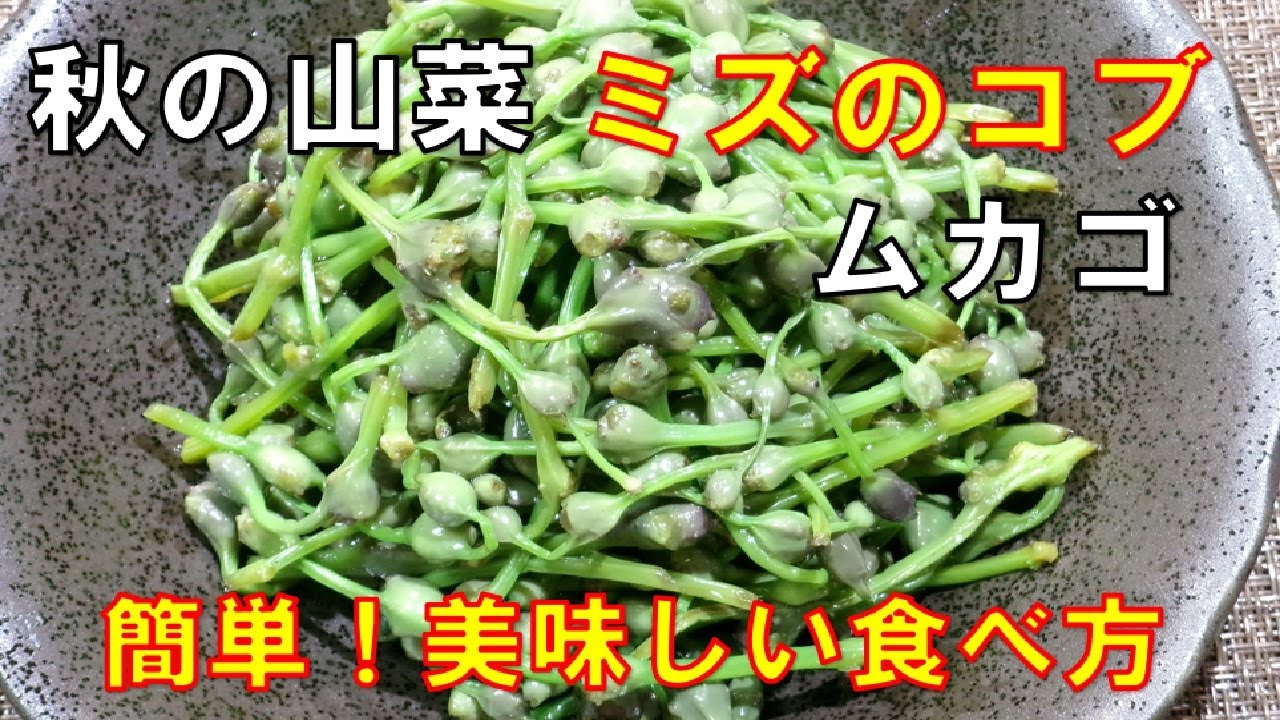 みずの 実 塩漬け 食べ 方