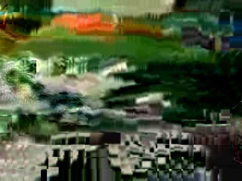 Glitch Fish