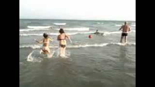 Bagno in mare con il nostro Labrador mp4