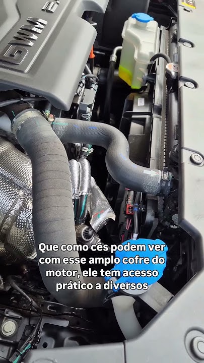 Raio X RÁPIDO – Haval H9