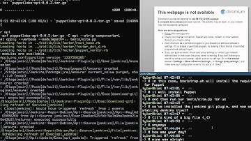Testing a Puppet module with Blimpy