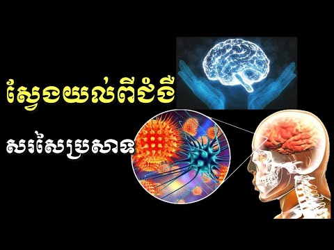 ស្វែងយល់ពីជំងឺសរសៃប្រសាទ /CAM Health/