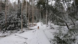 Empire Trails - Kennetcook NS (February 5, 2023)