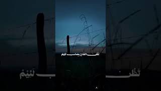 اتنسى صحابا  وقلبا سليم  سمعها