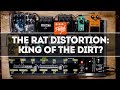 The ProCo RAT Distortion & RAT-Alikes: King Of The Dirt Pedals? That Pedal Show