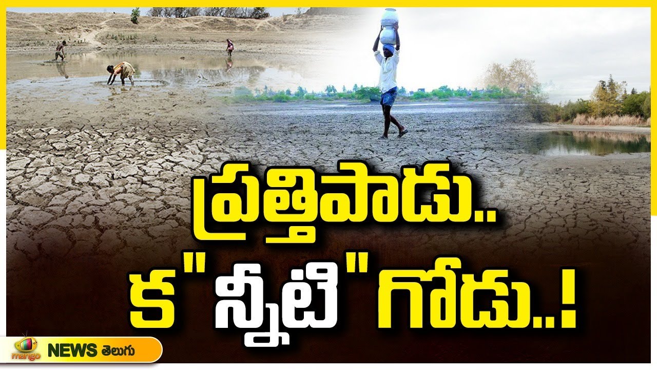 Special Focus: Prathipadu Constituency Faces Water Issues | Pemmasani Chandrasekhar | Mango News