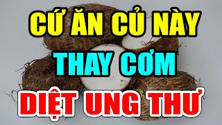 BẤT NGỜ Loại Củ Dân Giã Chữa Bách Bệnh, Kể Cả Ung Thư Ít Người Biết, Ăn Sớm Sẽ Sống Thọ