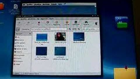 My Ubuntu with Compiz Fusion and Kiba Dock part II