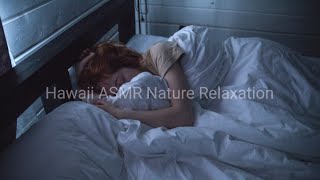 10H. Bruit de la Pluie pour se Relaxer et Dormir toute la Nuit | Rain to Relax and Sleep all Night by Hawaii ASMR Nature Relaxation 17,088 views 9 months ago 10 hours