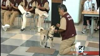 Prisoners train dogs with behavioral problems