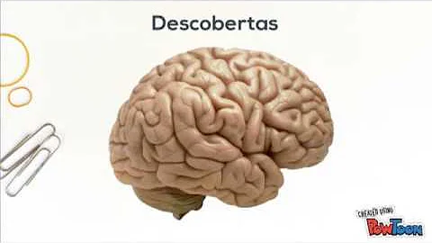 O que é Localizacionismo?