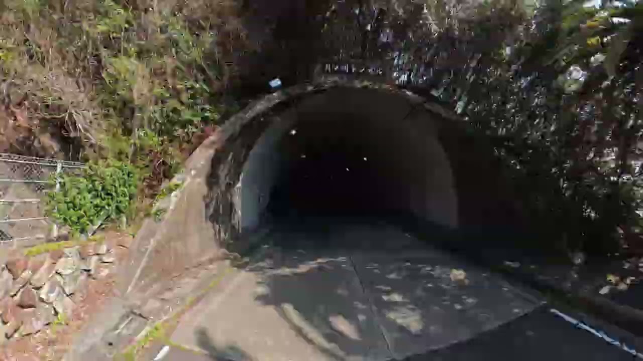 足摺岬行ってきた