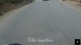 Showkali A R Rahman Vibe