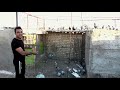 Pigeon کموتر 