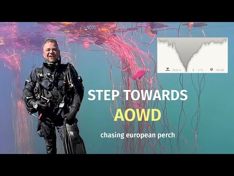 Ndaws: The Only Guide You'll Ever Need.