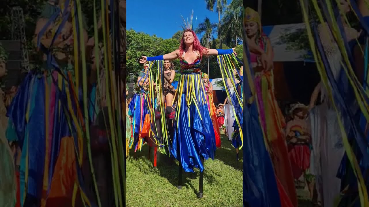 Bloco da Terreirada - Carnaval rj 2026