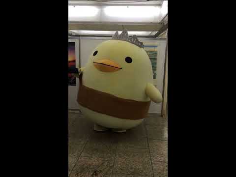 バリィさんのジェスチャーゲーム　アキラ100％編♪  @新宿3/16