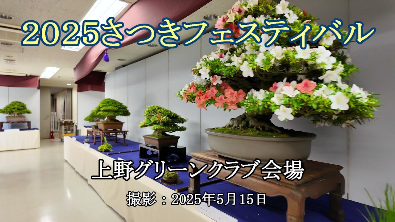 2025さつきフェスティバル = 上野グリーンクラブ会場 = [4K] 2025