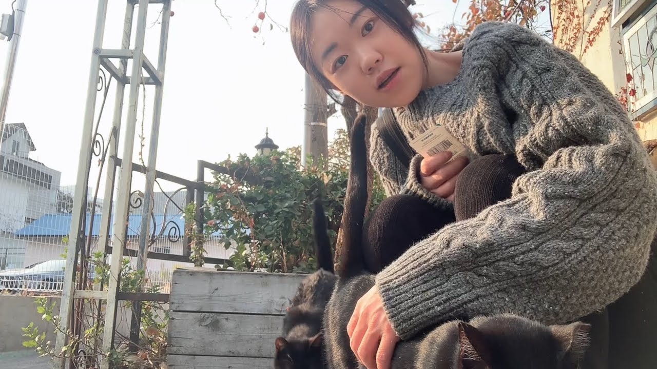 나만의 연말 회고 브이로그