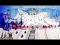 Ski Dubai: Indoor Ski Resort in the Mall of the Emirates (4K Tour & Vlog)