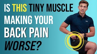 The TINY Muscle Causing Your Back Pain (& How to Release It)