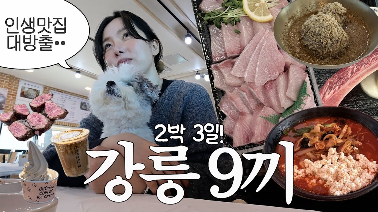 맛집 죄다 성공한 강릉여행! 겨울 대방어, 들기름막국수, 수육, 우대갈비, 순두부짬뽕, 초당옥수수커피, 속초 중앙시장 맛집.