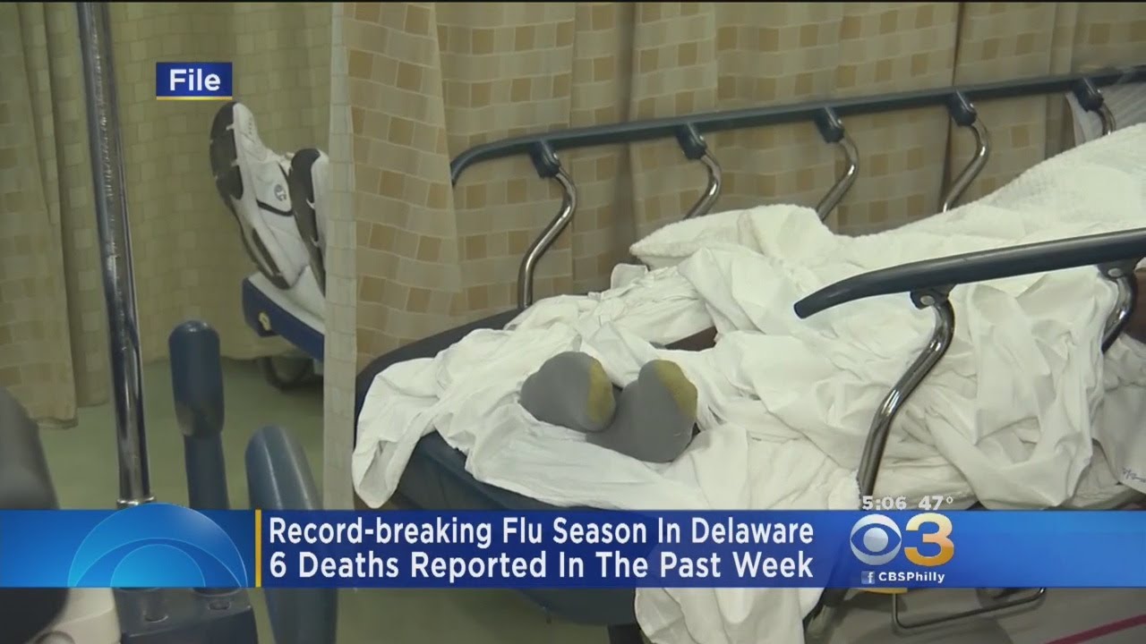 Delaware flu cases, deaths hit record high this season