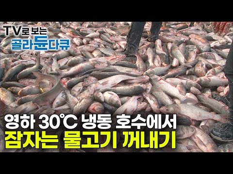 서울 면적만 한 거대한 얼음호수에서 겨울 잠자고 있는 수십 톤 물고기 그물로 꺼내 먹는 방법｜겨울이 5개월 영하 30도 맹추위｜중국 <strong>차간호의</strong> 어부들｜극한직업｜#골라듄다큐