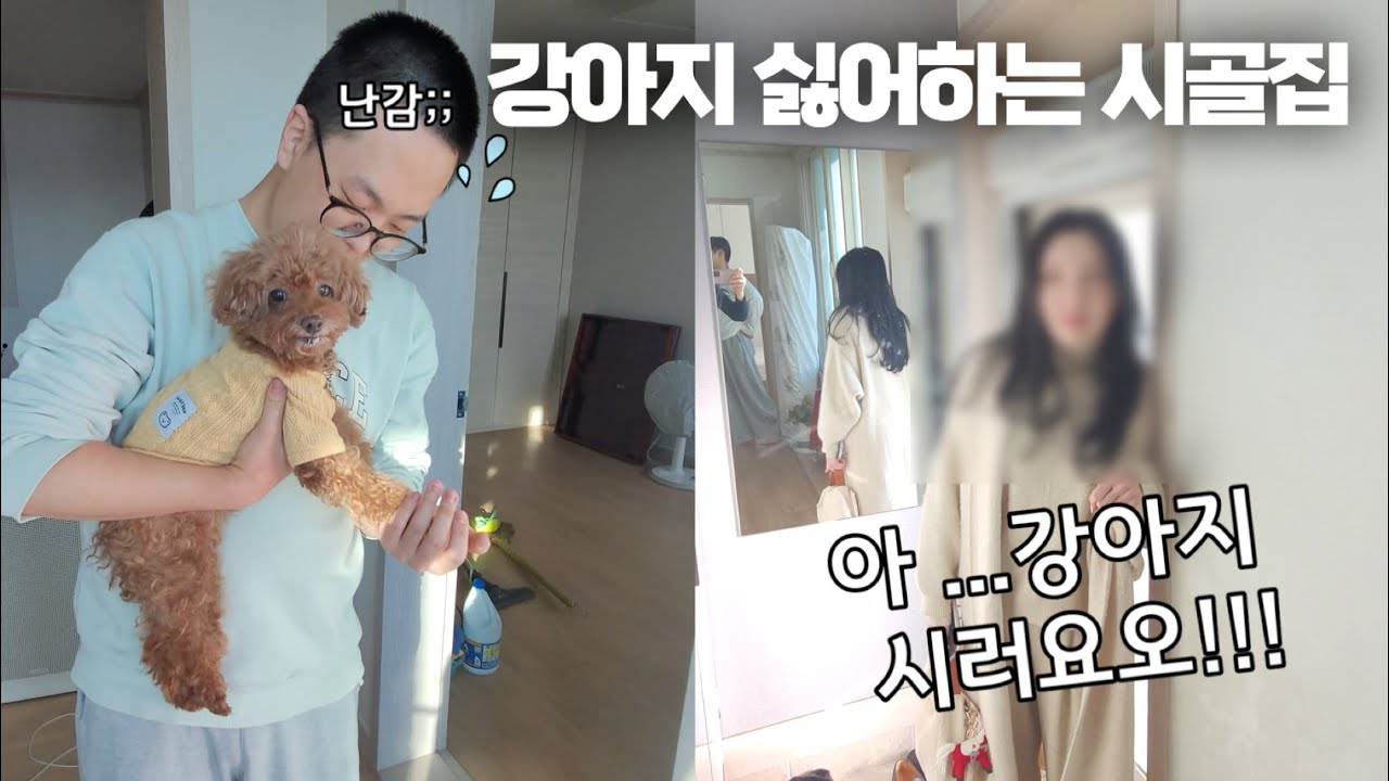 강아지 지독하게 싫어하는 시골집에 애교많은 강아지가 가면 생기는 일