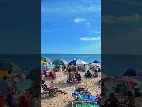 WONDERFUL BEACH Rio De Janeiro Brazil Shorts