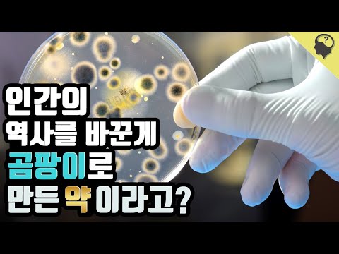 인간의 역사를 바꾼 최초의 항생제 페니실린