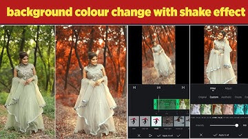 Video Background Colour Change With Shake Effect | Reels Video Background Colour Change App