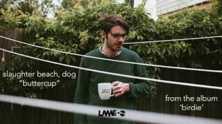 Slaughter Beach, Dog - Buttercup chords