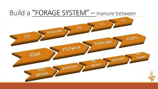 2024 Crop Hour: Forage Alternative Forages