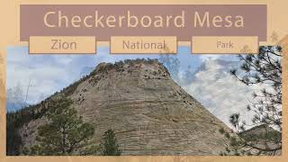 Checkerboard Mesa Mt. Zion National Park