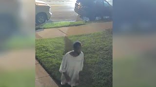 East Toledo residents alarmed after overnight crime spree caught on camera