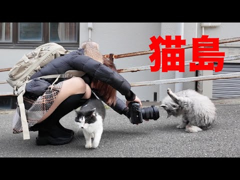 Solo Female Travel] Surrounded by Cats! I went to Tashirojima