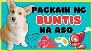 Pwedeng IPAKAIN sa Buntis na Aso by Munting Kennel 22,464 views 11 months ago 5 minutes, 43 seconds