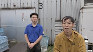 【旬の美味しさにこだわる旬すぐ（国産  100%）】富山県高岡市矢野正文さん超軟水で育てた柔らかい歯ごたえと旨味が引き立つキクラゲ