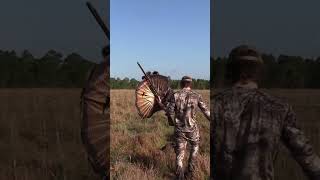 Decoying a Florida Turkey